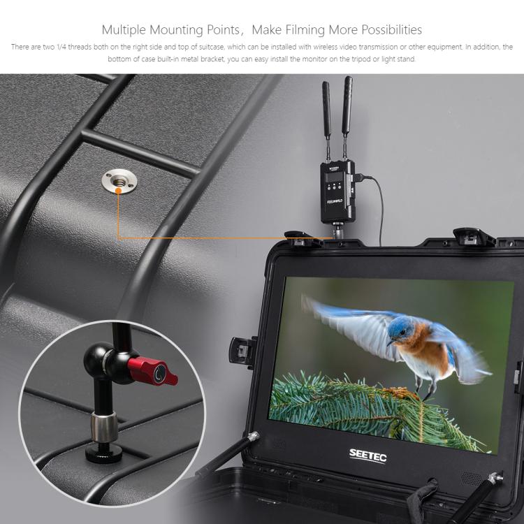 SEETEC WPC215 21.5 inch 1000nit High Bright Portable Carry-on Director Monitor Full HD 1920x1080 Monitor, WPC215