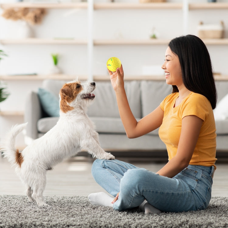 O5 Smart Pet Cat Toy Ball Luminous Yo-Yo Diameter 2.4 inches Standalone Version