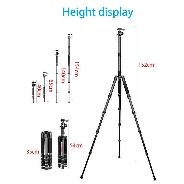 BEXIN BX255C K30 Portable Carbon Fiber Tripod for Camera Dslr, BX255C
