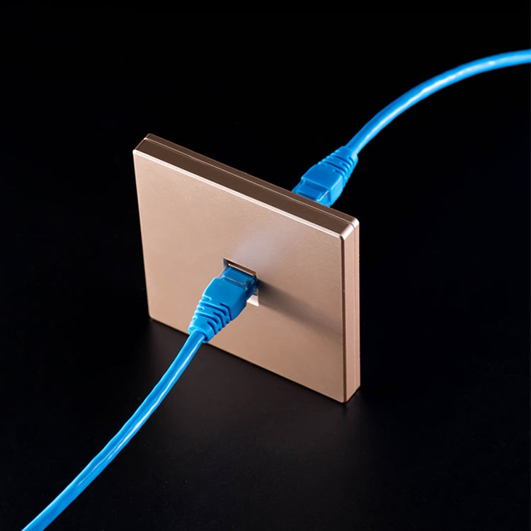CAT.6 Shielded Pass-through Network Module, Dual Ports Panel + Shielded Pass-through, Dual Ports Panel+Shielded Pass-through