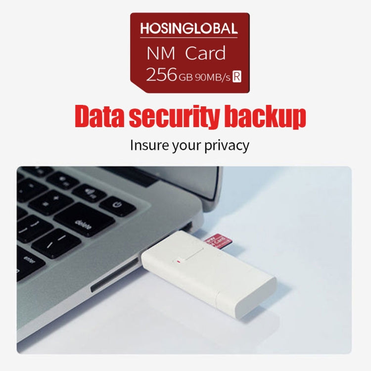 HOSINGLOBAL 90MB/s 256GB NM Card, 256GB