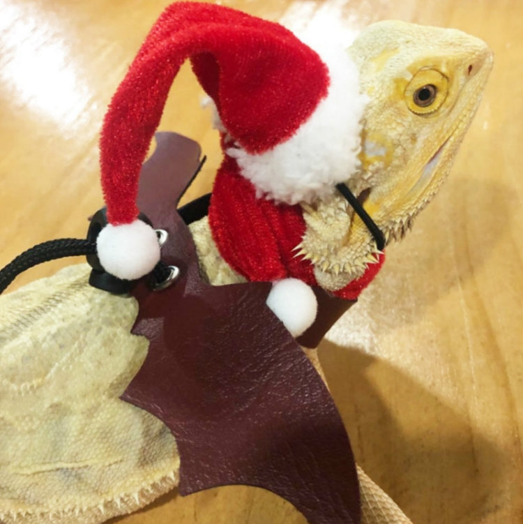 Lizard Crawling Pet Out Christmas Dress Up, Hat+Scarf, Hat+Scarf+Traction Rope