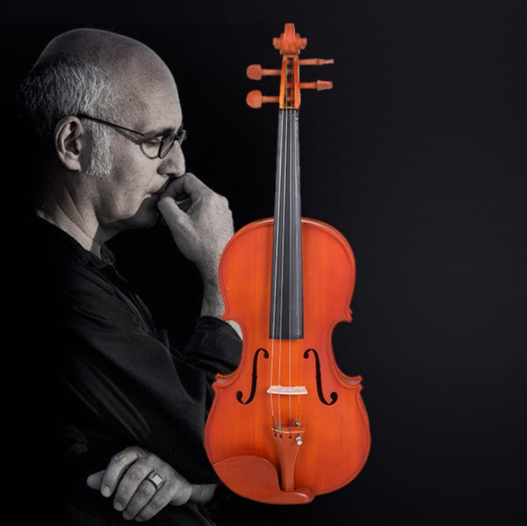 Colored Maple Wood Violin Beginner Practice Violin, Wood Violin