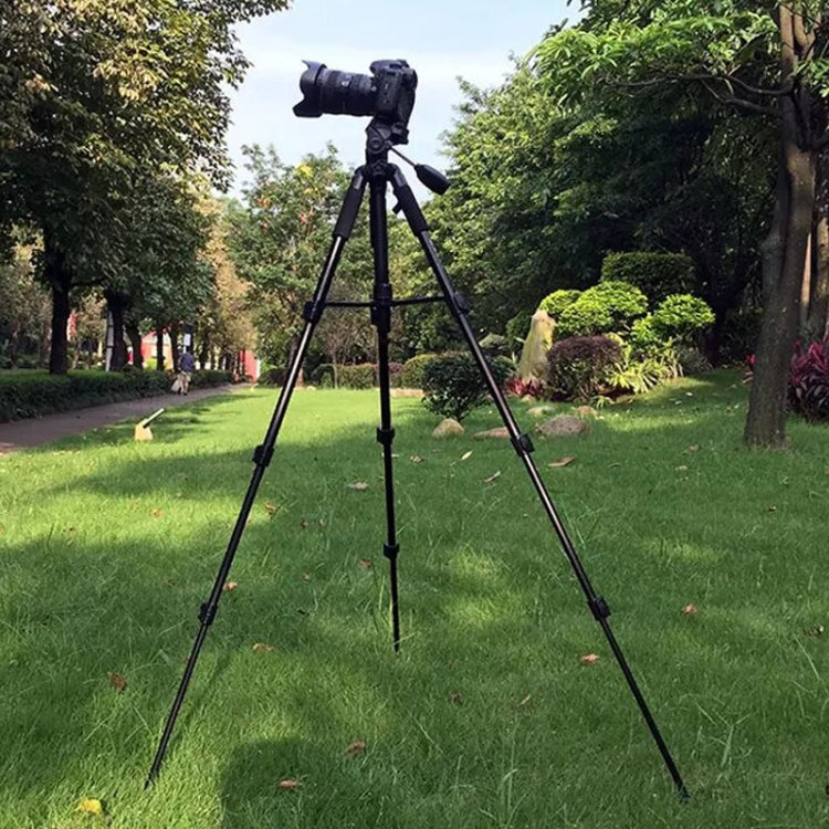 QingZhuangShiDai Q111 Aluminum Alloy Mobile Phone Camera Photography Tripod, Q111(Black)