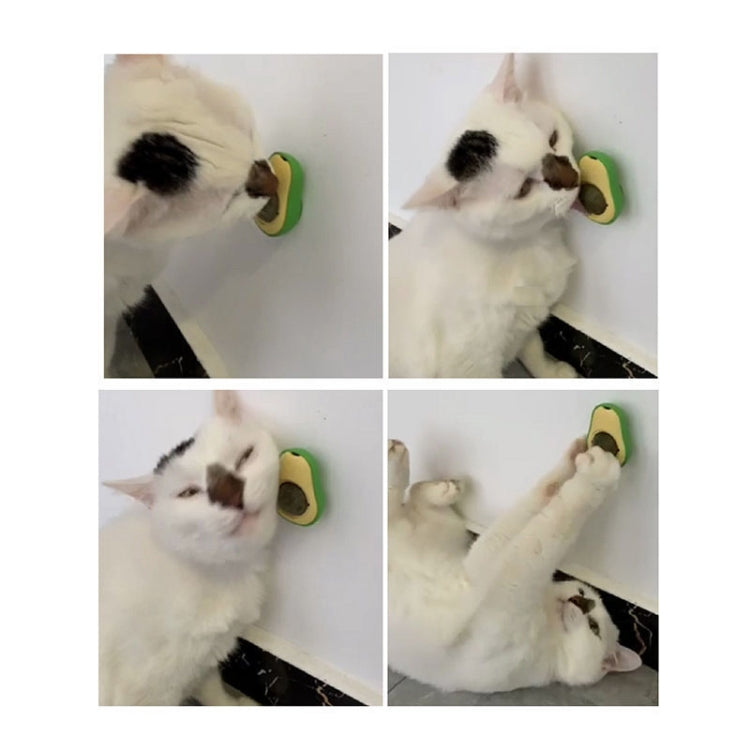 Catnip Balls And Avocado Teasing Cat Teeth Cleaning Toy, Mint Ball, Gall Fruit