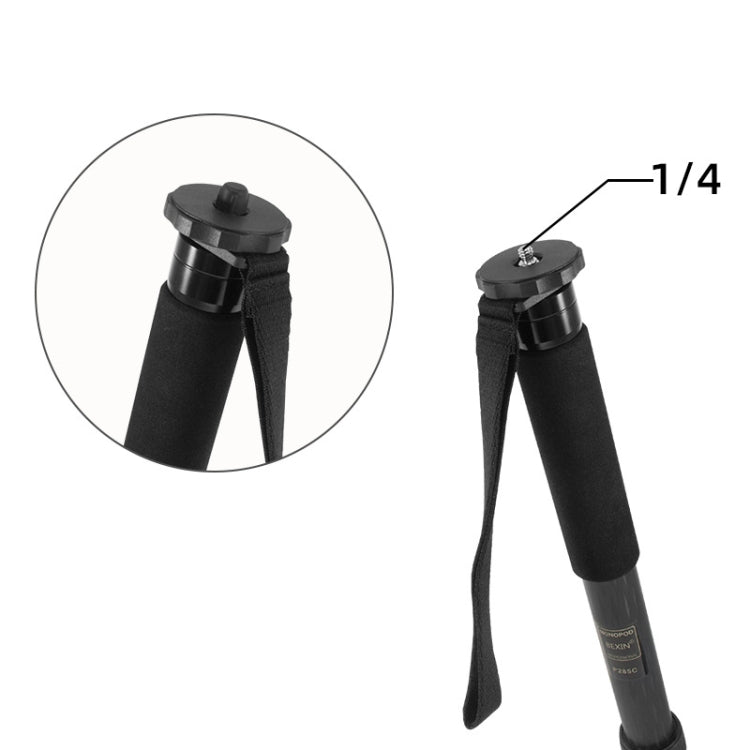 10pcs BEXIN G-02 Camera 1/4-inch Screw Protection Cap for Tripod Monopod Screw, G-02