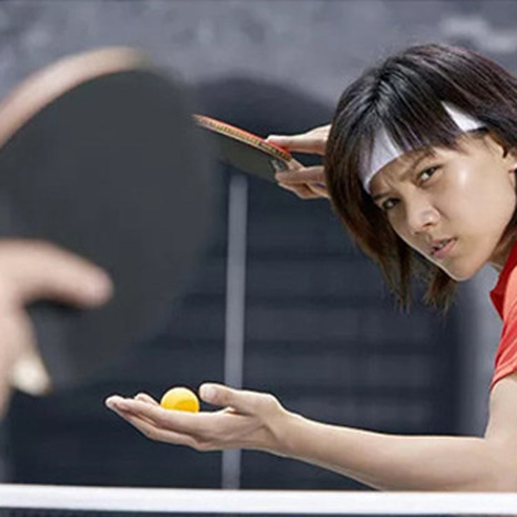 REGAIL 12pcs/box Colorful Plastic Table Tennis Balls
