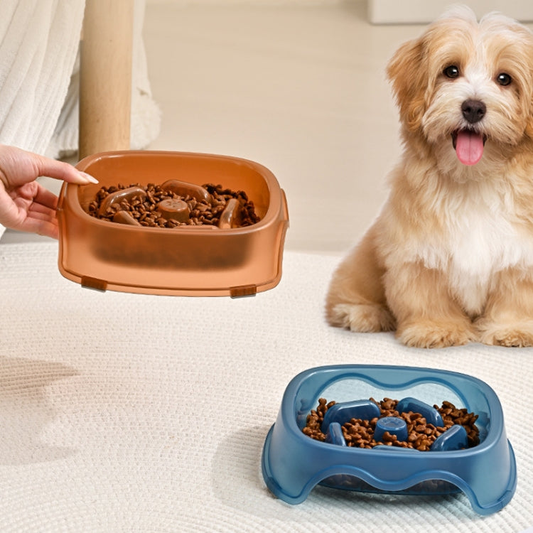 Square Light Transparent Slow Food Pet Bowl Dog Food Cat Food Bowl, Orange, Gray, Blue