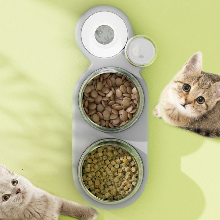 Cats 3 In 1 Bowl Automatic Water Dispenser Anti Spill Large Bore Tilt Pet Food Bowl, Green, White, Grey