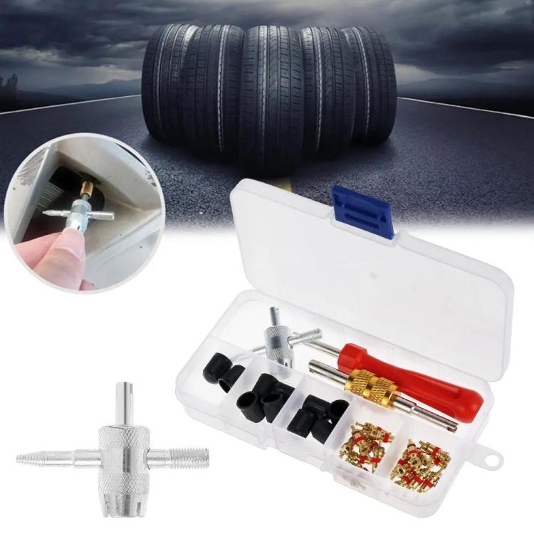33pcs/Set Car Bicycle Tire Valve Core Installation Tool Repair Kit, B
