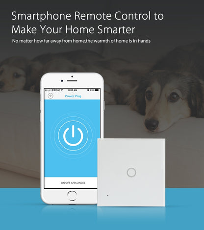 NEO NAS-SC01W Wireless WiFi EU Smart Light Control Switch 1Gang, 1 Gang