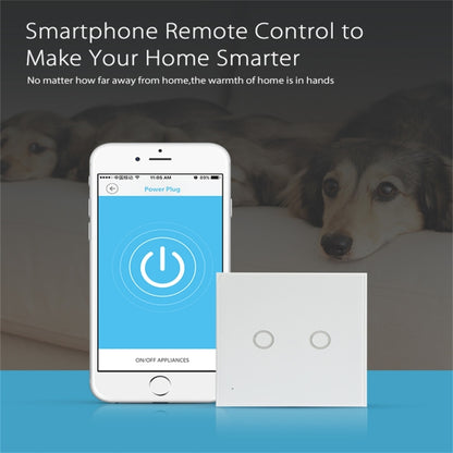 NEO NAS-SC02W Wireless WiFi EU Smart Light Control Switch 2Gang, 2 Gang