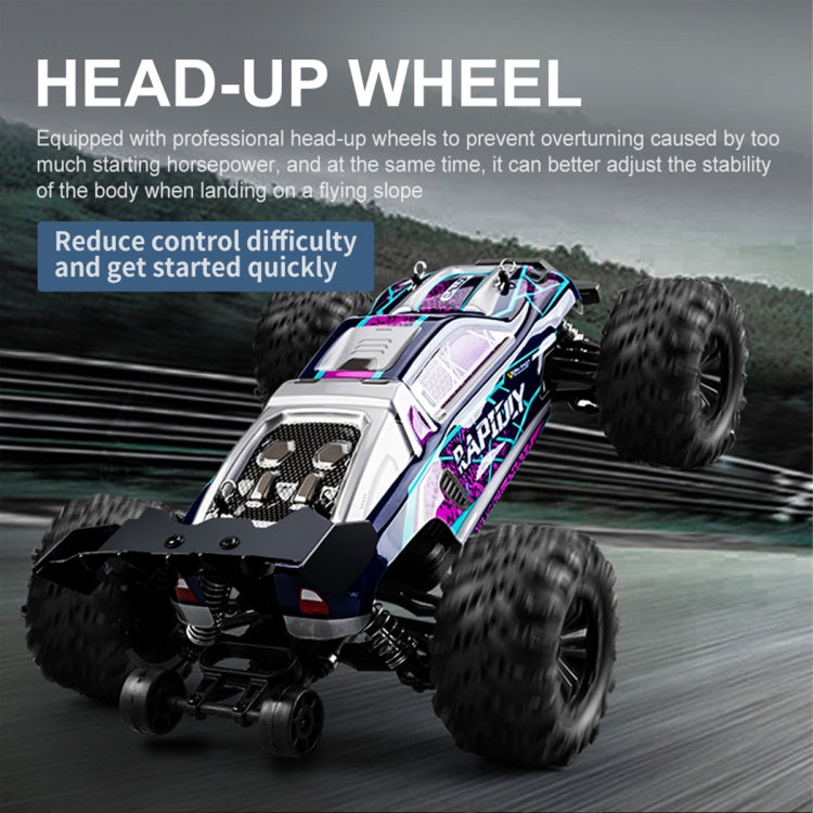 SCY-16101 2.4G 1:16 Electric 4WD RC Monster Truck Coupe Car Toy, SCY-16101 / Blue