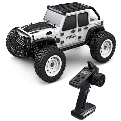 SCY-16103 2.4G 1:16 Electric 4WD RC Off-road Vehicle Car Toy, SCY-16103 / Dark Gray, SCY-16103 / White
