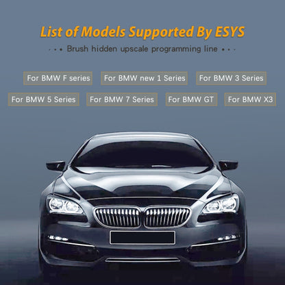 ESYS ENET for ICOM BMW F-Series with A Full Set of CD V50.3 Car Brush Hidden Cable, Car Brush Hidden Cable