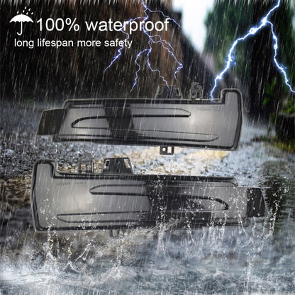 1 Pair For Mercedes-Benz A Class W176 2013-2017 Car Dynamic LED Turn Signal Light Rearview Mirror Flasher Water Blinker, For Mercedes-Benz A Class W176 2013-2017 (Transparent), For Mercedes-Benz A Class W176 2013-2017 (Transparent Black)