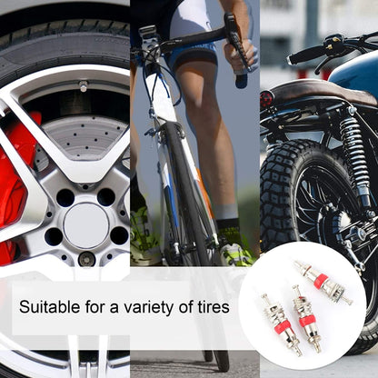 100 in 1 Car / Motorcycle Tire Valve Core Repair Kit, 100 in 1
