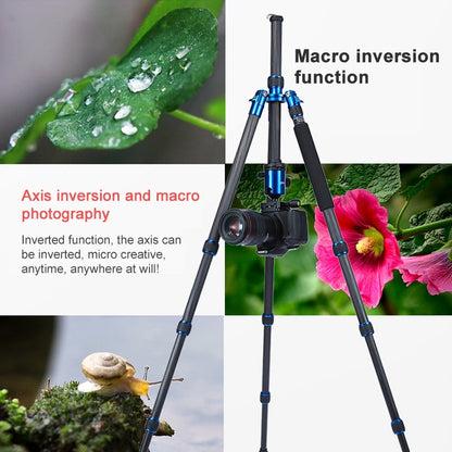 TRIOPO Oubao C-608S Adjustable Portable Carbon Fiber Tripod with Ball Head for SLR Camera, C-608S