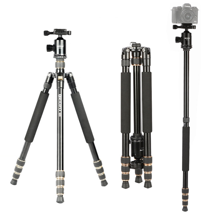 TRIOPO 554 Adjustable Portable  Aluminum Alloy Tripod with D-2A Ball Head for SLR Camera, 554
