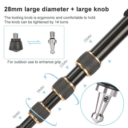 TRIOPO 554 Adjustable Portable  Aluminum Alloy Tripod with D-2A Ball Head for SLR Camera, 554