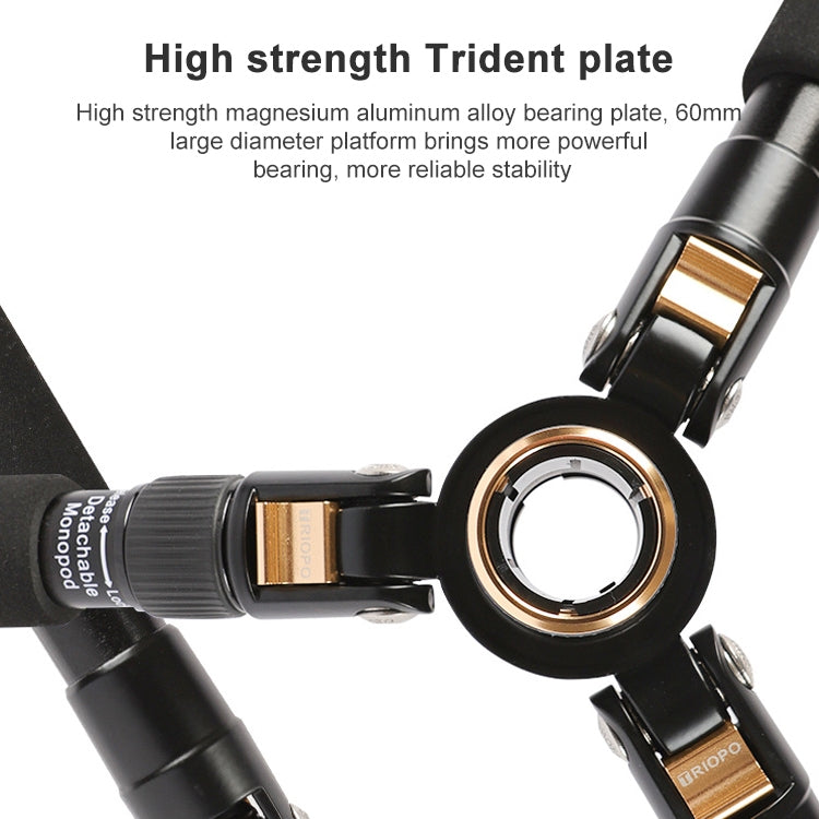 TRIOPO 554 Adjustable Portable  Aluminum Alloy Tripod with D-2A Ball Head for SLR Camera, 554