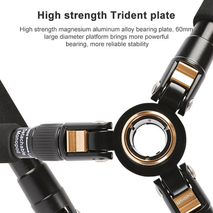 TRIOPO 554 Adjustable Portable  Aluminum Alloy Tripod with D-2A Ball Head for SLR Camera, 554