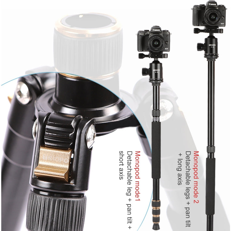 TRIOPO 554 Adjustable Portable  Aluminum Alloy Tripod with D-2A Ball Head for SLR Camera, 554