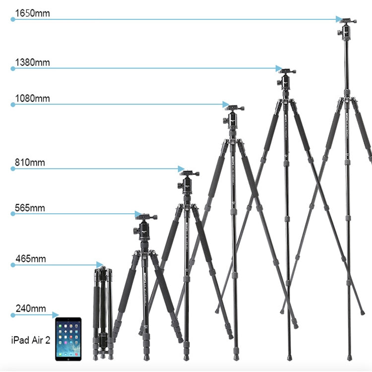 TRIOPO 554 Adjustable Portable  Aluminum Alloy Tripod with D-2A Ball Head for SLR Camera, 554