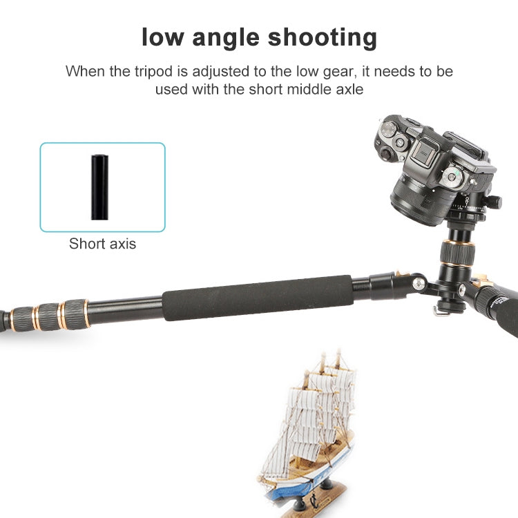 TRIOPO 554 Adjustable Portable  Aluminum Alloy Tripod with D-2A Ball Head for SLR Camera, 554