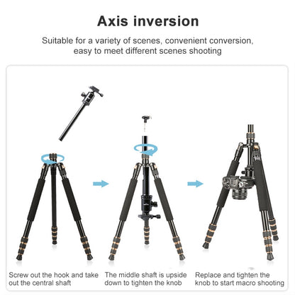 TRIOPO 554 Adjustable Portable  Aluminum Alloy Tripod with D-2A Ball Head for SLR Camera, 554