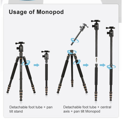 TRIOPO 554 Adjustable Portable  Aluminum Alloy Tripod with D-2A Ball Head for SLR Camera, 554