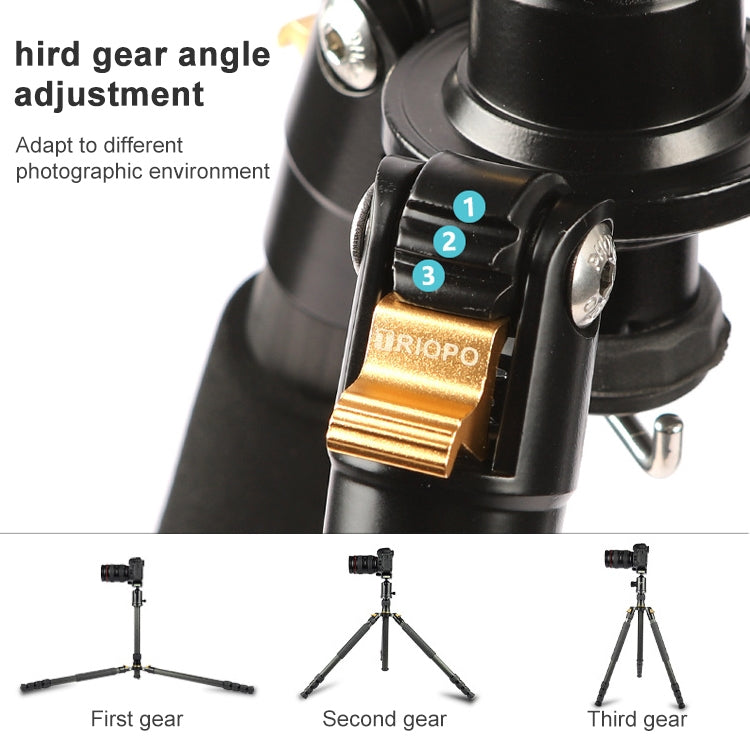 TRIOPO 853 Adjustable Portable Carbon Fiber Tripod with D2-A Ball Head for SLR Camera, 853