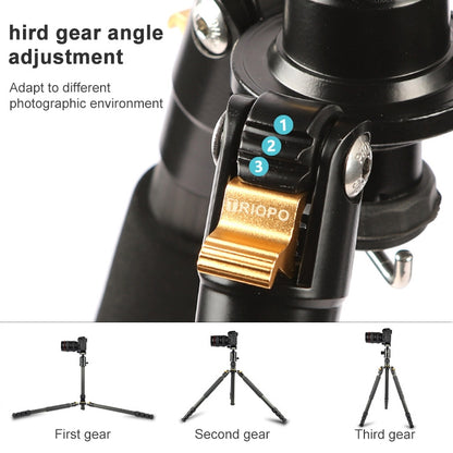 TRIOPO 853 Adjustable Portable Carbon Fiber Tripod with D2-A Ball Head for SLR Camera, 853