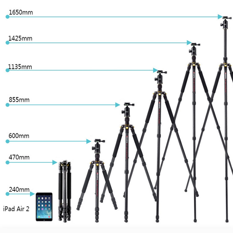 TRIOPO 853 Adjustable Portable Carbon Fiber Tripod with D2-A Ball Head for SLR Camera, 853