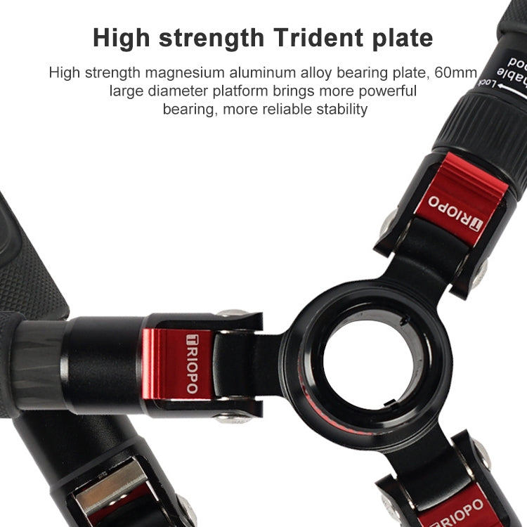 TRIOPO 888 Adjustable Portable Carbon Fiber Tripod with Q-2 Ball Head for SLR Camera, Pipe diameter: 28cm, 888
