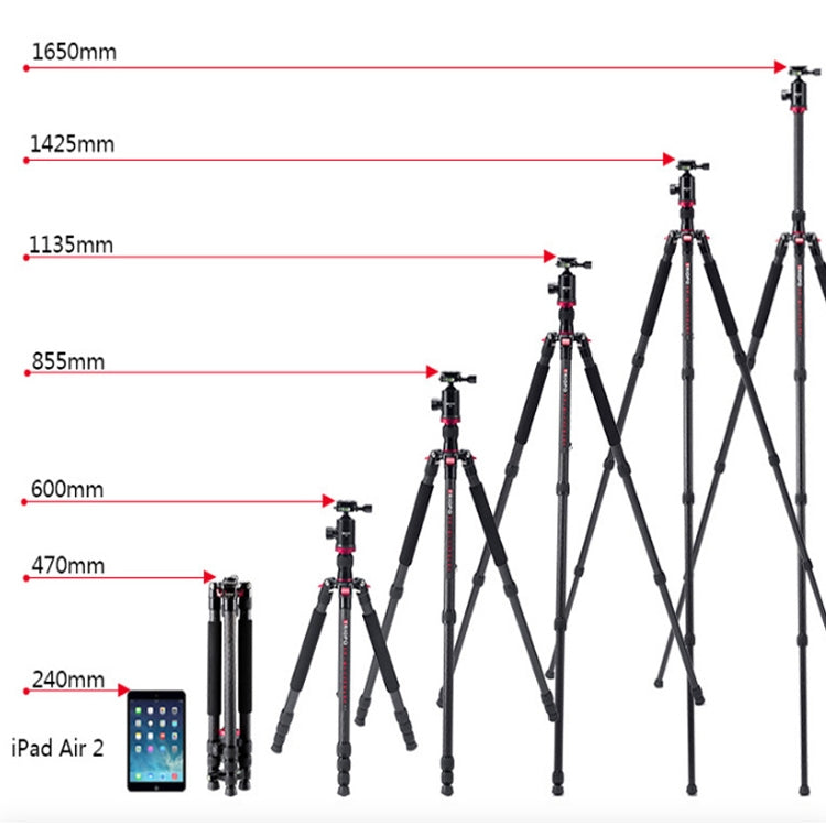 TRIOPO 888 Adjustable Portable Carbon Fiber Tripod with Q-2 Ball Head for SLR Camera, Pipe diameter: 28cm, 888