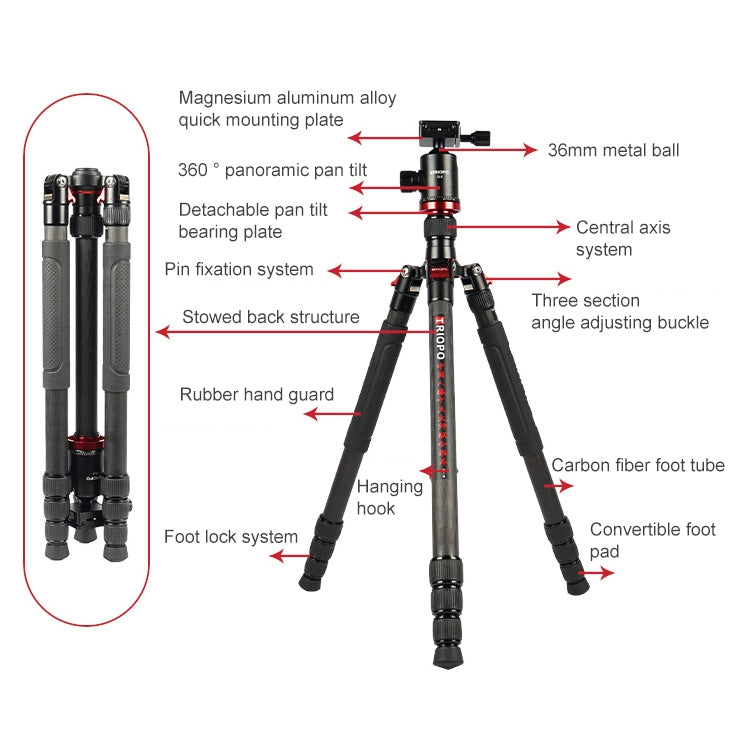TRIOPO 888 Adjustable Portable Carbon Fiber Tripod with Q-2 Ball Head for SLR Camera, Pipe diameter: 28cm, 888