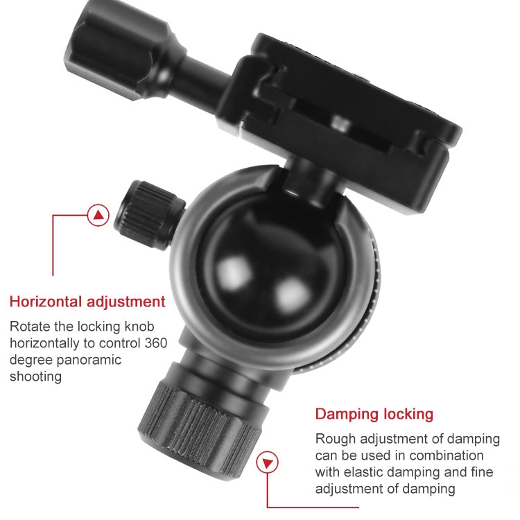 TRIOPO 888 Adjustable Portable Carbon Fiber Tripod with Q-2 Ball Head for SLR Camera, Pipe diameter: 28cm, 888