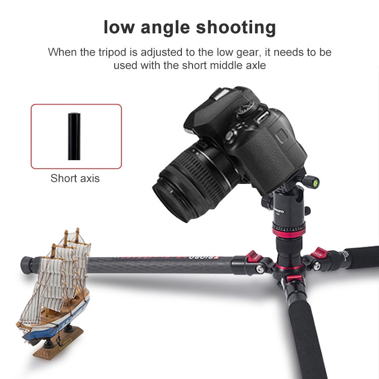 TRIOPO 888 Adjustable Portable Carbon Fiber Tripod with Q-2 Ball Head for SLR Camera, Pipe diameter: 28cm, 888