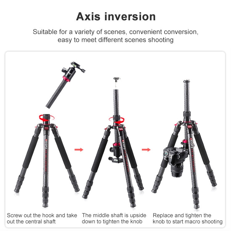 TRIOPO 888 Adjustable Portable Carbon Fiber Tripod with Q-2 Ball Head for SLR Camera, Pipe diameter: 28cm, 888