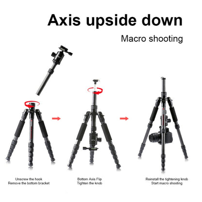 TRIOPO T259G+Q2 Adjustable Portable Carbon Fiber Tripod with Q-2 Ball Head for SLR Camera, T259G+Q2