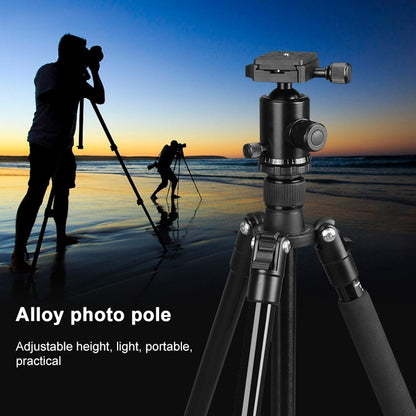 TRIOPO Oubao TA300 Adjustable Portable Aluminum Alloy Tripod with Ball Head for SLR Camera, TA300
