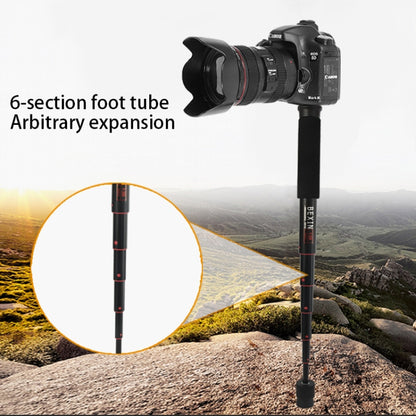 BEXIN P256A Portable Travel Outdoor DSLR Camera Aluminum Alloy Monopod Holder, P256A