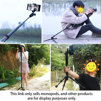 BEXIN P308A Portable Travel Outdoor DSLR Camera Aluminum Alloy Monopod Holder, P308A