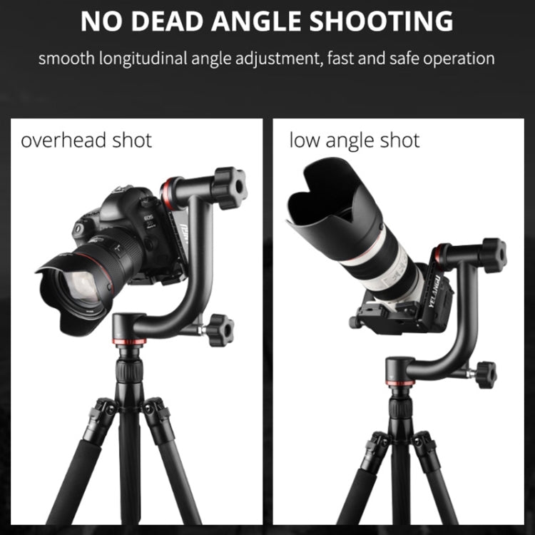 YELANGU  A201 360 Degree Horizontal Gimbal Tripod Head for DV and SLR Cameras, A201