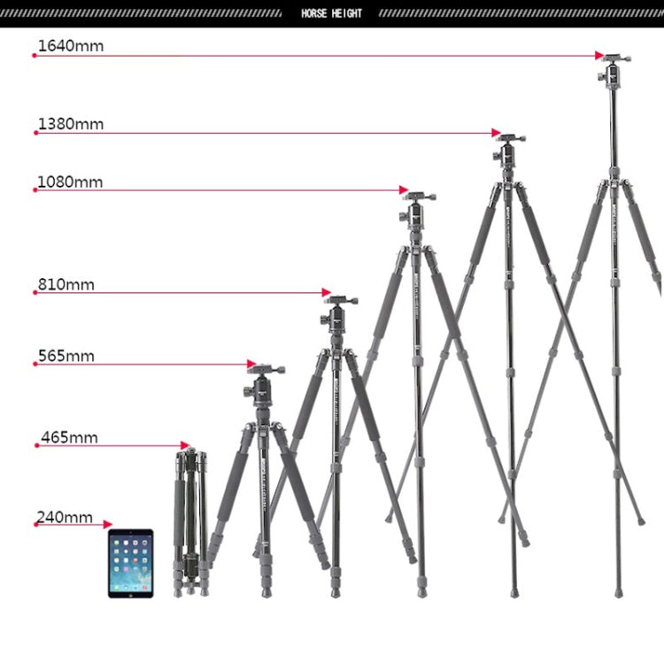 TRIOPO T258 Aluminum Alloy Tripod Monopod with D2 Ball Head, T258+D2