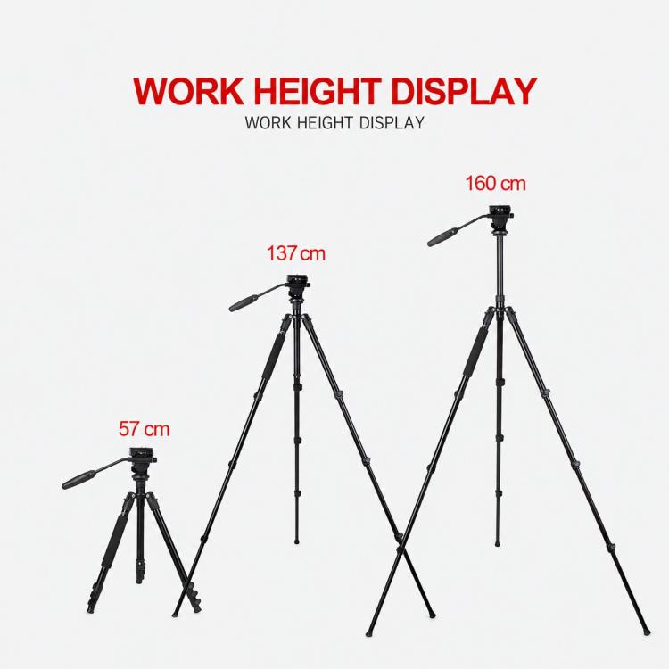 TRIOPO K2808 Aluminum Tripod Mount with HY-350 Heavy Duty Damping Head, K2808
