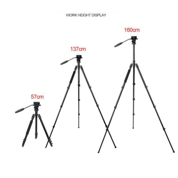 TRIOPO K2808 Aluminum Tripod Mount with HY-350 Heavy Duty Damping Head, K2808