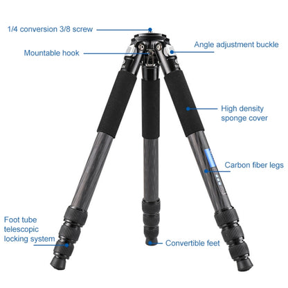 BEXIN RC294 Portable Collapsible Carbon Fiber Camera Tripod with K44 Panoramic BallHead, RC294+K44