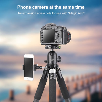 BEXIN RC294 Portable Collapsible Carbon Fiber Camera Tripod with K44 Panoramic BallHead, RC294+K44